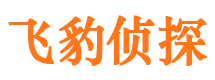 阿克塞找人公司